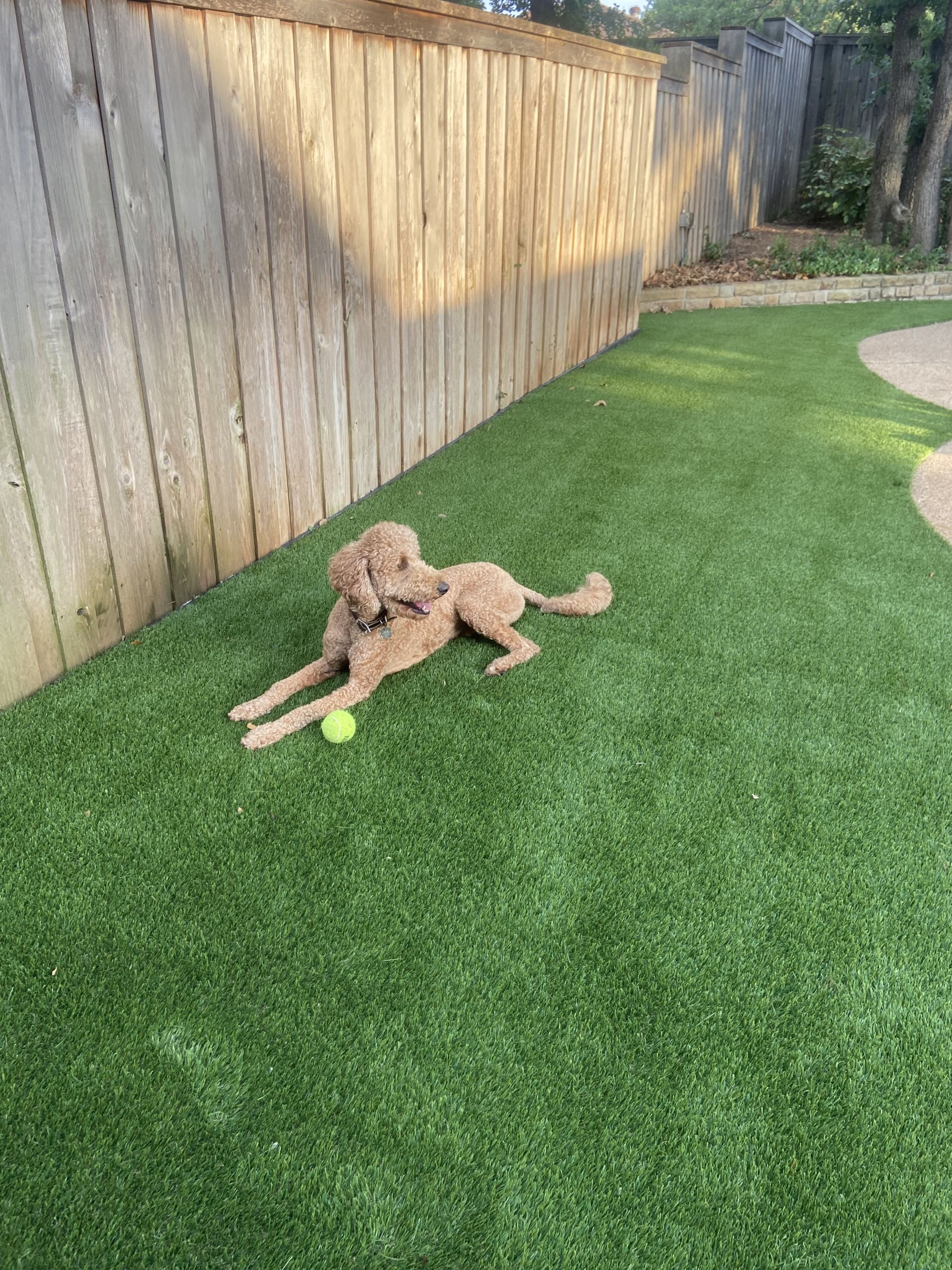 Synthetic Grass Installations For Pets
