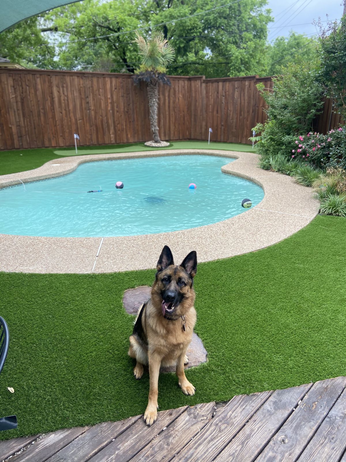 Prime Design Turf: The Perfect Turf Solutions for Outdoor Spaces