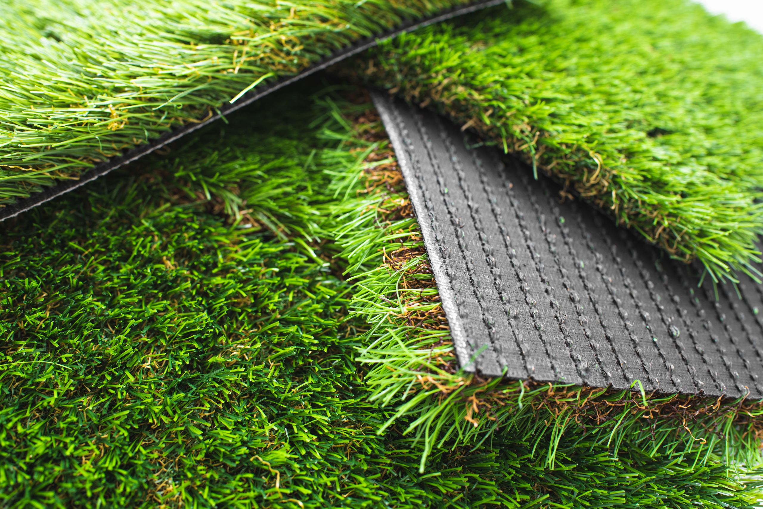 Different Types of Turf