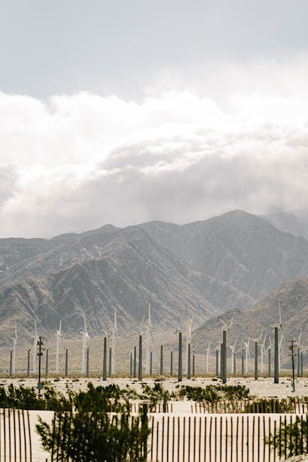 Introduction to Sustainable Landscaping