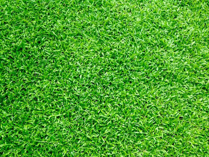 Introduction to Urban Green Spaces and Turf Grass Innovations
