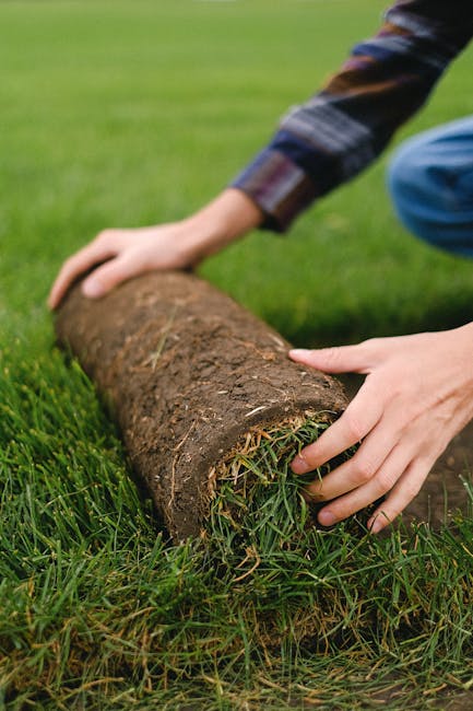 Maintenance and Longevity of Artificial Turf