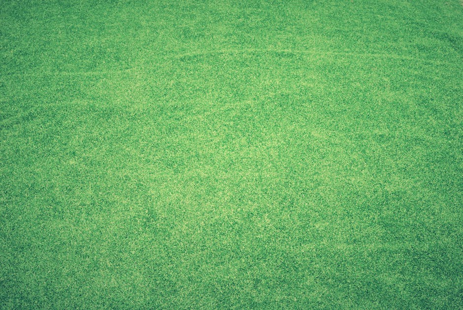 The Evolution of Synthetic Turf Technology: Innovations and Trends Shaping Modern Landscaping