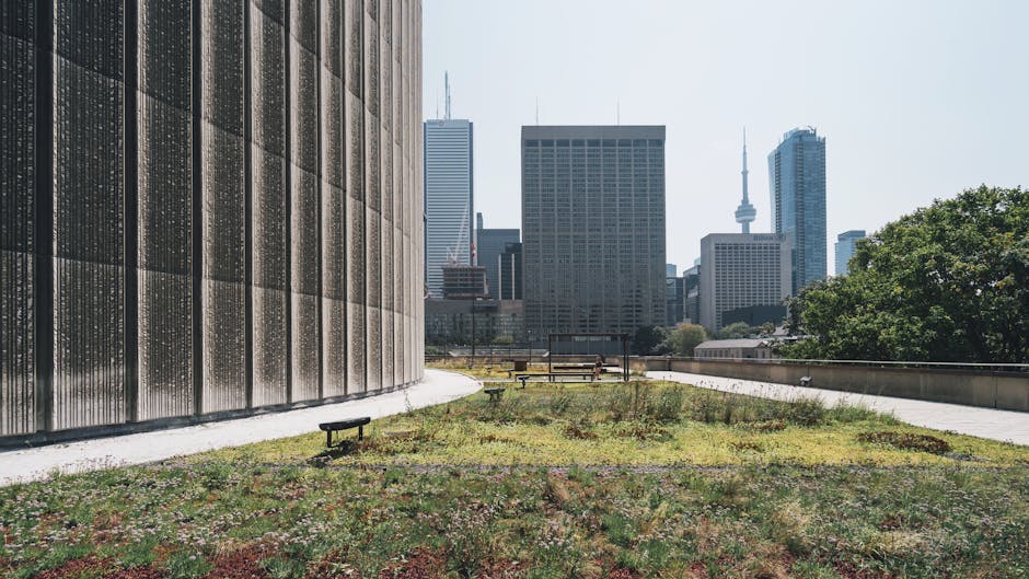 The Future of Urban Green Spaces: How Turf Grass Innovations are Transforming City Landscapes