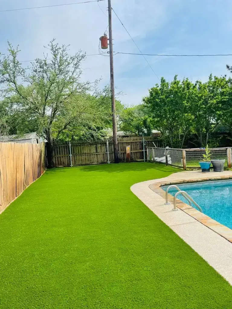 Backyard Turf