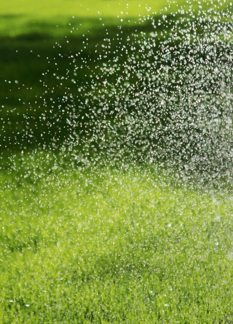 Turf Rinsing